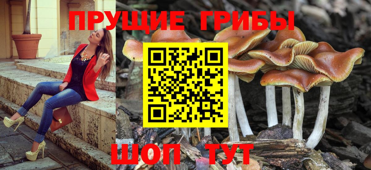 Юрга  Галлюциногенные грибы MAGIC MUSHROOMS  Вход с VPN 