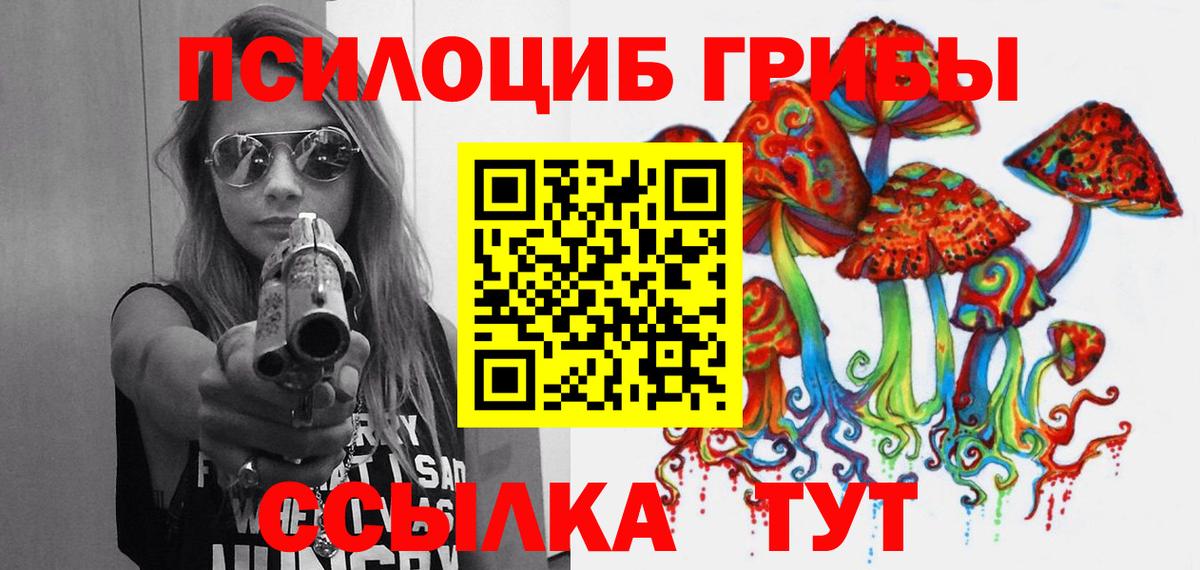 Псилоцибиновые грибы Psilocybine cubensis Юрга
